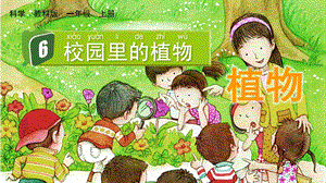 教科版一上科學1.6 校園里的植物 課件.pptx