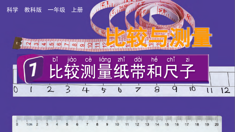 教科版一上科學(xué)2.7比較測量紙帶和尺子課件.rar