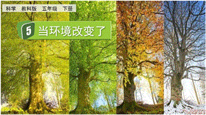 教科版五下科學(xué)1.5當(dāng)環(huán)境改變了課件.pptx