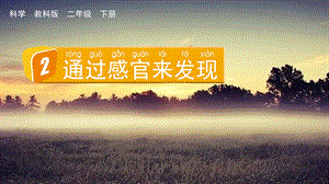 教科版二下科學(xué)2.2通過感官來發(fā)現(xiàn)課件.pptx