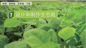 教科版五下科學(xué)1.7設(shè)計(jì)和制作生態(tài)瓶課件.pptx