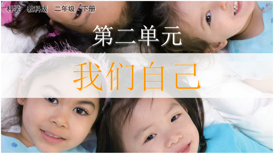 教科版二下科學2.1觀察我們的身體課件含視頻素材.rar