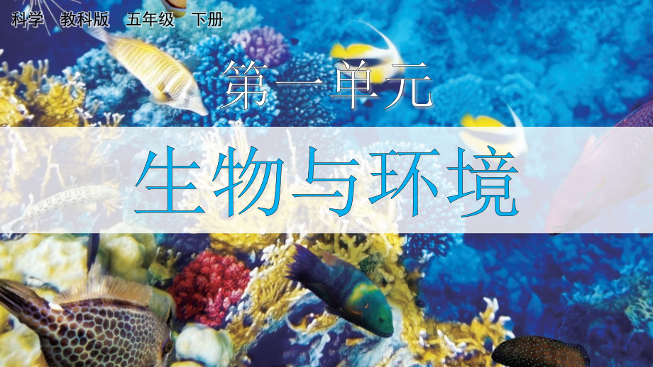 教科版五下科學2.1種子發芽實驗課件含視頻素材.rar