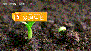 教科版二下科學2.5發現生長課件.pptx