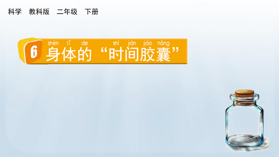 教科版二下科學2.6身體的“時間膠囊”課件含視頻素材.rar