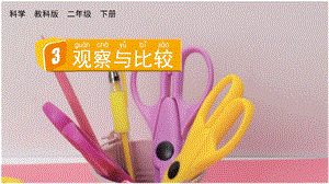 教科版二下科學2.3觀察與比較課件.pptx