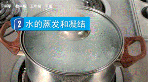 教科版五下科學(xué)4.2水的蒸發(fā)和凝結(jié)課件.pptx