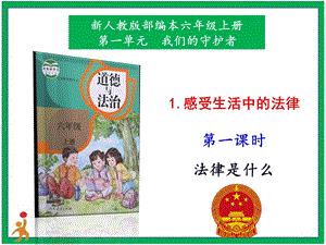 部編版六上道德與法治1.感受生活中的法律第1課時課件.pptx