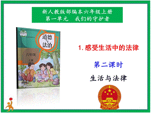 部編版六上道德與法治1.感受生活中的法律第2課時課件.pptx