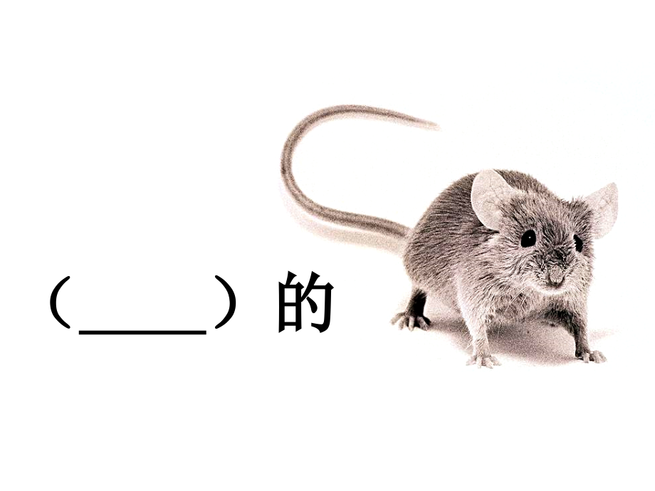 浙美版五年級上冊美術14課《童畫童謠》課件+配套教案.rar