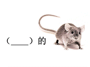 浙美版五年級上冊美術14.童謠童畫 課件.pptx