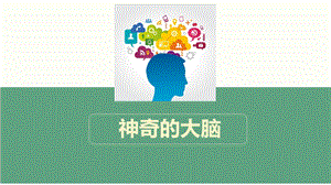 湘科版六上心理健康教育第3課神奇的大腦課件1.pptx