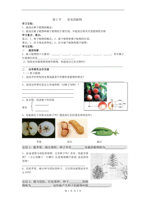 浙教版七上科學第2章第5節 常見的植物4 教案.doc