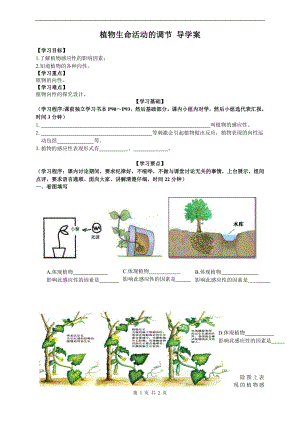 浙教版八上科學第3章第1節 植物生命活動的調節2 教學案.doc