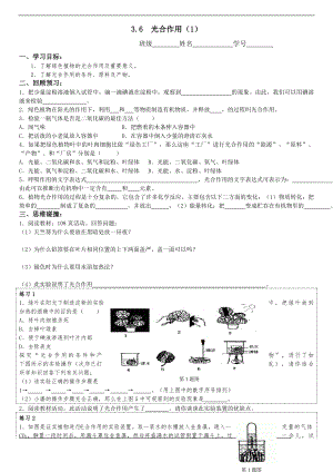 浙教版八下科學第3章第6節光合作用學案2.doc