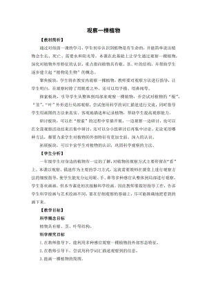 教科版一年級上冊科學《1.3觀察一棵植物》 教學設計.docx