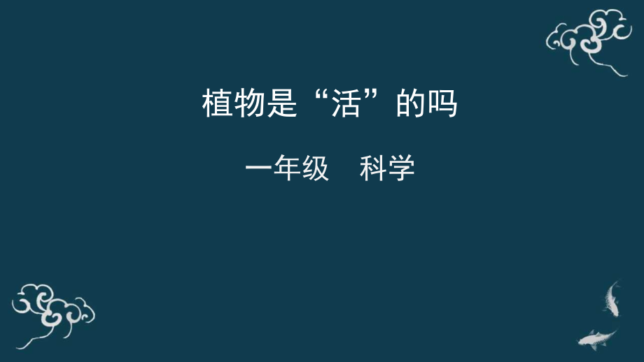 教科版一年級上冊科學6植物是“活”的嗎 課件+教案+素材.rar