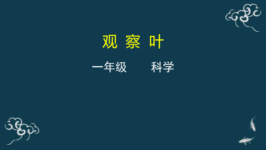 教科版一年級(jí)上冊(cè)科學(xué)4觀察葉課件+教案+素材.rar