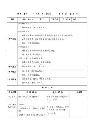 教科版一年級上冊科學1.2觀察一棵植物教案.docx