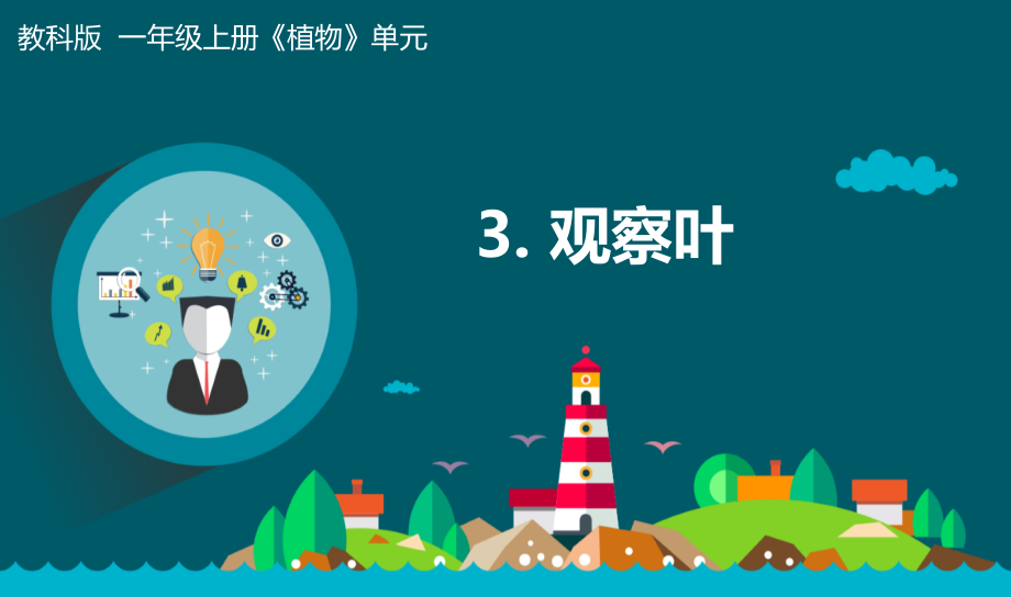 教科版一年級上冊科學1.3觀察葉 課件+教案+素材.rar