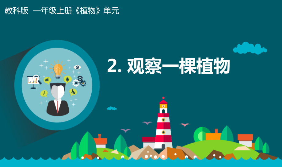 教科版一年級上冊科學(xué)1.2觀察一棵植物課件+教案+素材.rar
