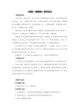 教科版一年級上冊科學觀察一棵植物教學設計.docx