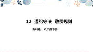 地質(zhì)版八下生命與健康常識第12課遵紀守法敬畏規(guī)則課件.pptx