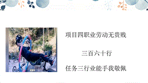 浙教版五上勞動(dòng)項(xiàng)目4任務(wù)3行業(yè)能手我敬佩課件.pptx