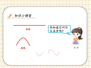 桂科版四上信息技術夏日的湖面-參考課件1.pptx