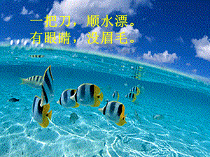 湘科版三年級上冊科學(xué)2.2魚課件(共28張PPT).ppt