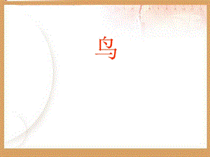 湘科版三年級上冊科學2.3 鳥課件(共32張PPT).ppt