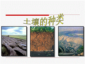 湘科版三年級上冊科學3.3土壤的種類課件(共16張PPT).ppt