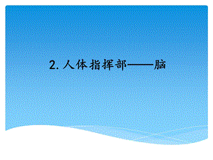 湘科版五年級上冊科學1.2人體指揮部腦(課件）.ppt