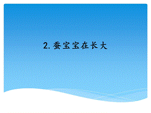 湘科版四年級下冊科學2蠶寶寶在長大課件.ppt
