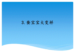湘科版四年級下冊科學3蠶寶寶大變樣課件.ppt