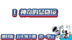 湘科版五年級下冊科學1.1神奇的顯微鏡（課件）.pptx