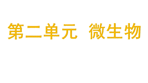 湘科版五年級下冊科學(xué)2.1發(fā)霉和發(fā)酵（課件）.pptx