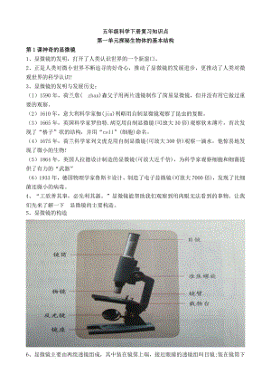 湘科版五年級(jí)下冊(cè)科學(xué)第01單元：探秘生物體的基本結(jié)構(gòu)知識(shí)點(diǎn).docx