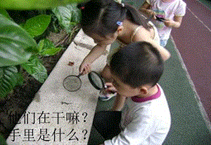 粵科版一年級(jí)上冊(cè)科學(xué)1.4學(xué)會(huì)運(yùn)用工具 課件.pptx