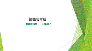 粵科版三年級上冊科學課件-1.1《鯽魚與青蛙》(共24張PPT).ppt
