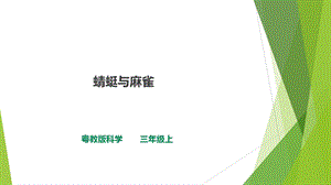 粵科版三年級上冊科學課件-1.2《蜻蜓與麻雀》(共21張PPT).ppt