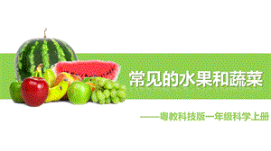 粵科版一年級(jí)上冊(cè)科學(xué)5《常見(jiàn)的水果和蔬菜》課件.pptx
