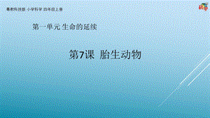 粵科版科學(xué)四年級(jí)上冊(cè)第7課胎生動(dòng)物教學(xué)課件.pptx