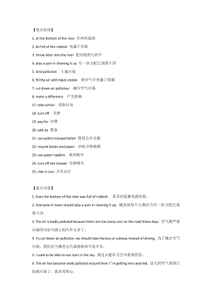 新目標(biāo)英語九年級(jí)Unit 13 必考知識(shí)點(diǎn).docx