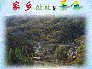 泰山版四年級下冊信息技術第4課家鄉處處是景色-參考課件1.pptx