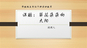 鄂教版三年級下冊勞動8.葵花朵朵向太陽 課件(共14張PPT).pptx