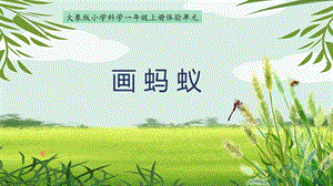 24新教材大象版一年級(jí)上冊(cè)科學(xué)體驗(yàn)單元《畫螞蟻》 課件.pptx