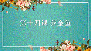 粵教粵民版五年級(jí)上冊(cè)勞動(dòng)4.2養(yǎng)金魚(yú)課件.pptx