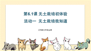 遼海版七上綜合實踐6.1無土栽培初體驗活動一無土栽培我知道課件.pptx