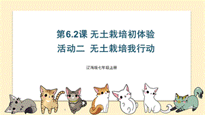 遼海版七上綜合實踐6.2無土栽培初體驗·活動二 無土栽培我行動 課件.pptx